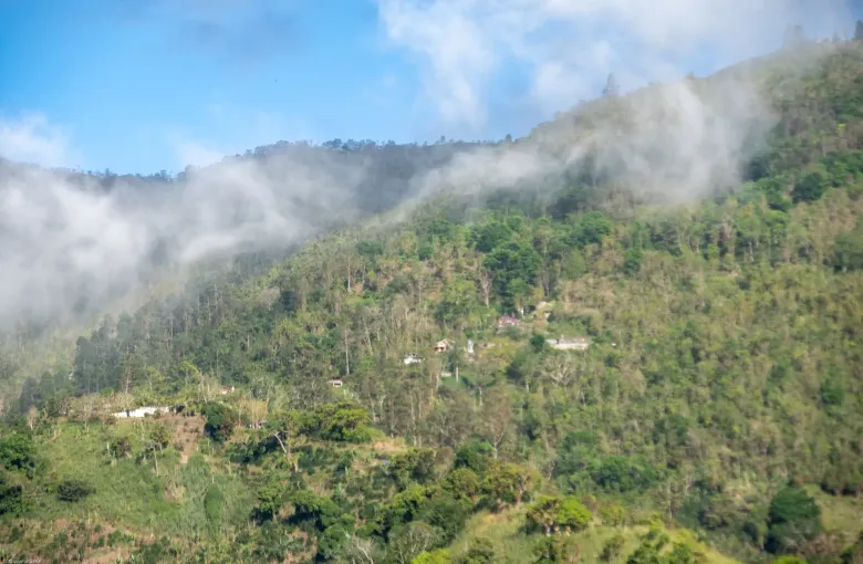 Cloud spills across a forested ridge in the Blue Mountains, with scattered houses on the slope below.