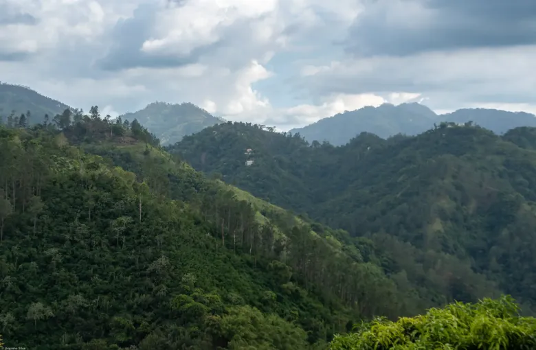 Layers of forested ridge fade into haze and cloud across the Blue Mountains.