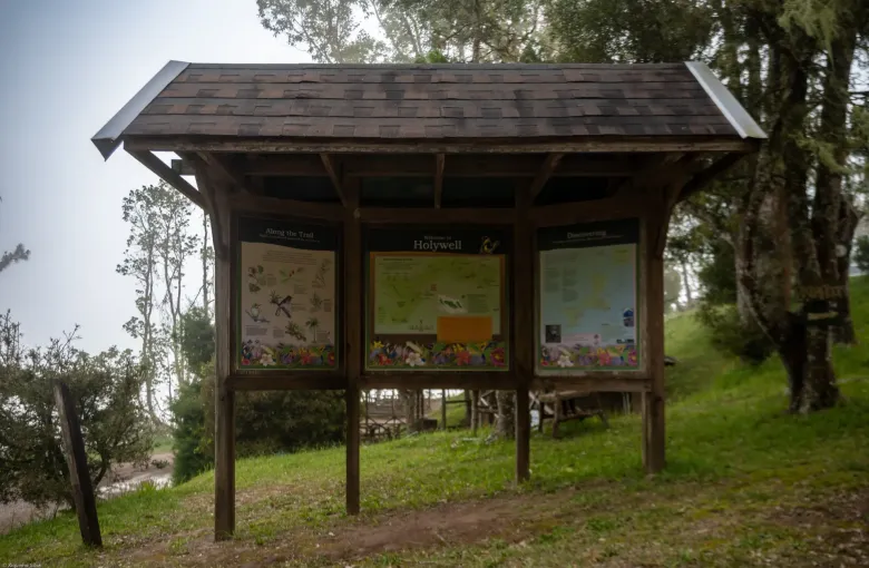 A roofed timber shelter holds interpretive panels beside a level grass path at Holywell.