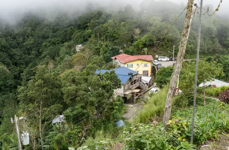 Fog settles over the houses of Section, a village on a forested slope of the Blue Mountains.