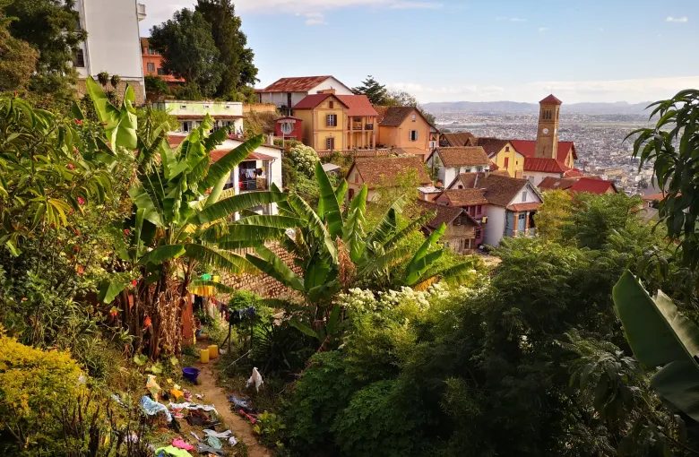 Tiled houses and dense vegetation on the slope below the Queen's Palace hill in Antananarivo, the city spreading out beyond.