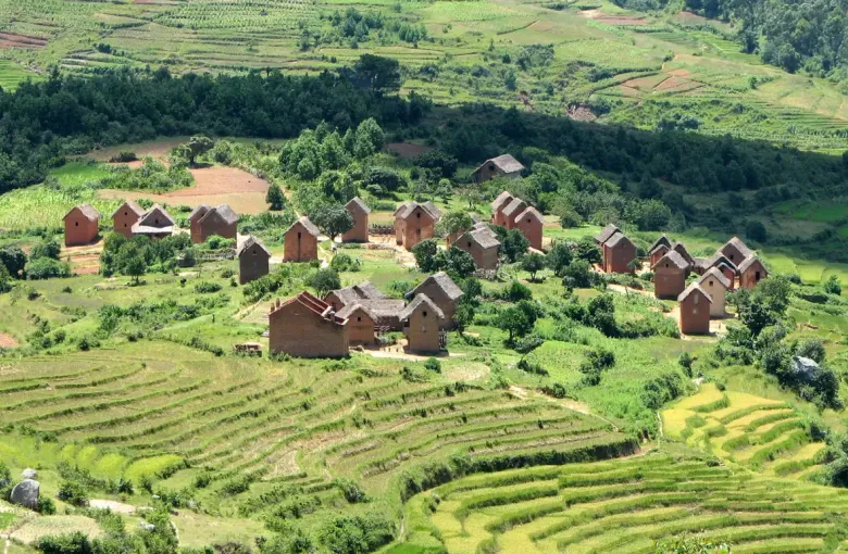 Brick houses on a green hillside above terraced rice paddies in the central highlands of Madagascar.