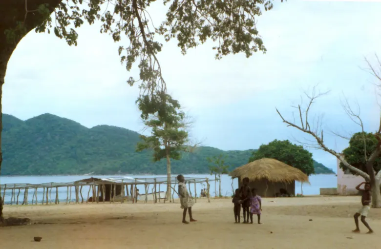 A lakeshore in Lake Malawi National Park framed by a large tree, with a wooden jetty, a thatched shelter and forested hills across the water.