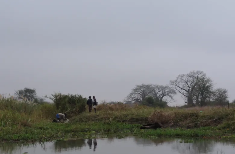 A still river channel fringed with reeds at Liwonde, Malawi, with baobabs and scattered trees on the far bank and two figures at the water's edge.