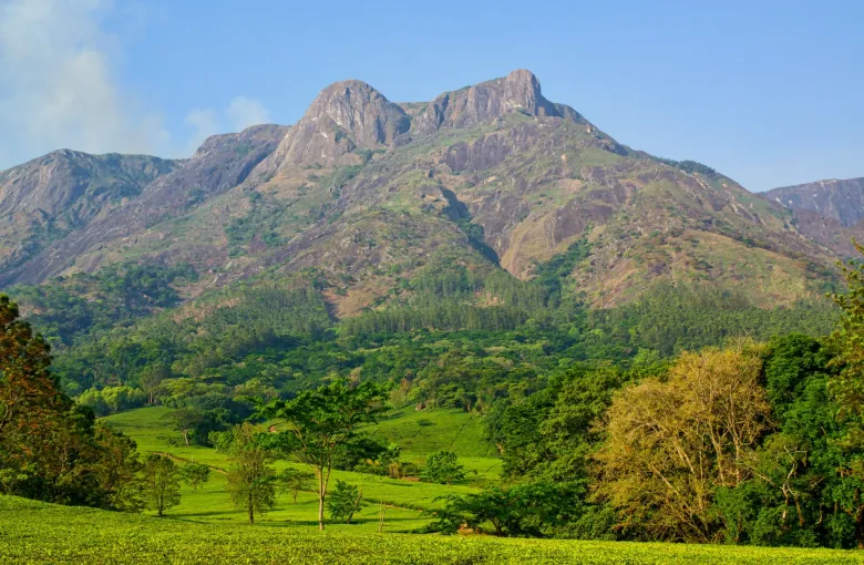 The peaks of Mount Mulanje rising above green tea fields and wooded slopes in southern Malawi under a bright sky.