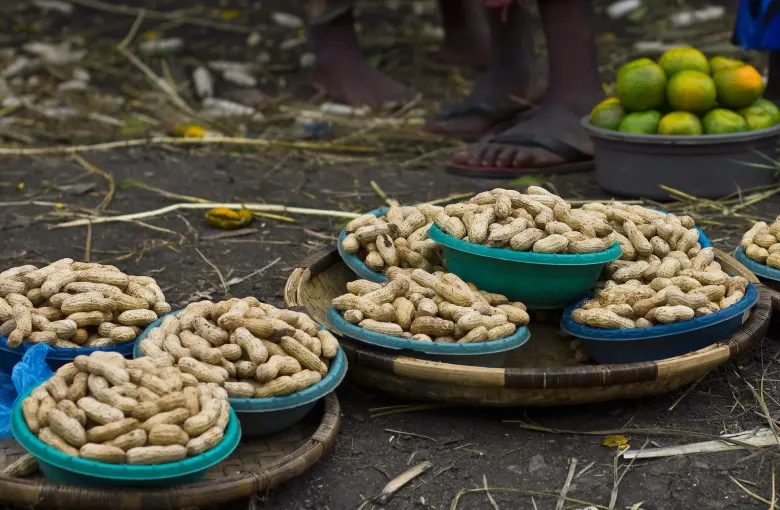 Shallow bowls of shelled and unshelled groundnuts set out for sale on the ground at a roadside market in Malawi, with limes behind.