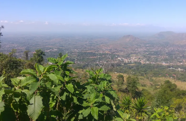 A hazy view from the Zomba Plateau in Malawi across a wide plain, with green vegetation in the foreground.