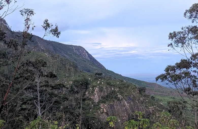 A steep wooded escarpment on the Zomba Plateau in Malawi, with bare branches in the foreground and cloud over the ridge.