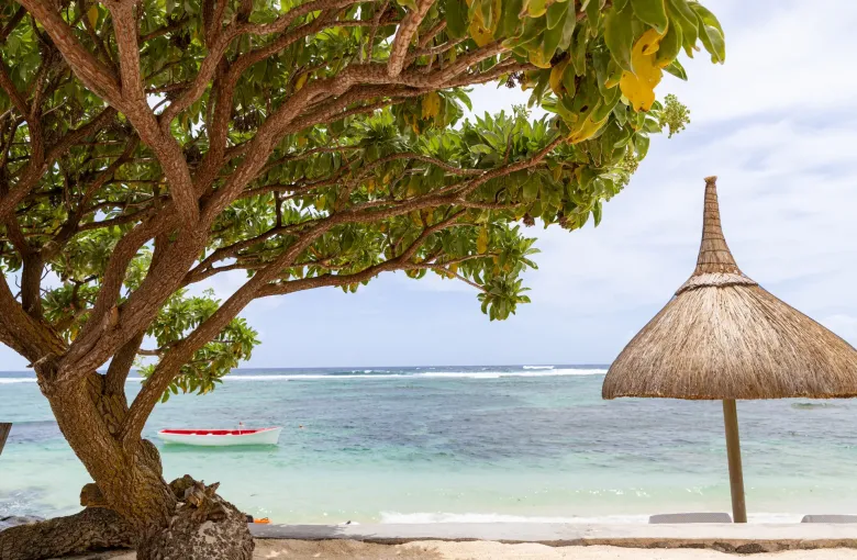 A thatched parasol and a leaning tree above the shallow lagoon at Poste La Fayette on the east coast of Mauritius.