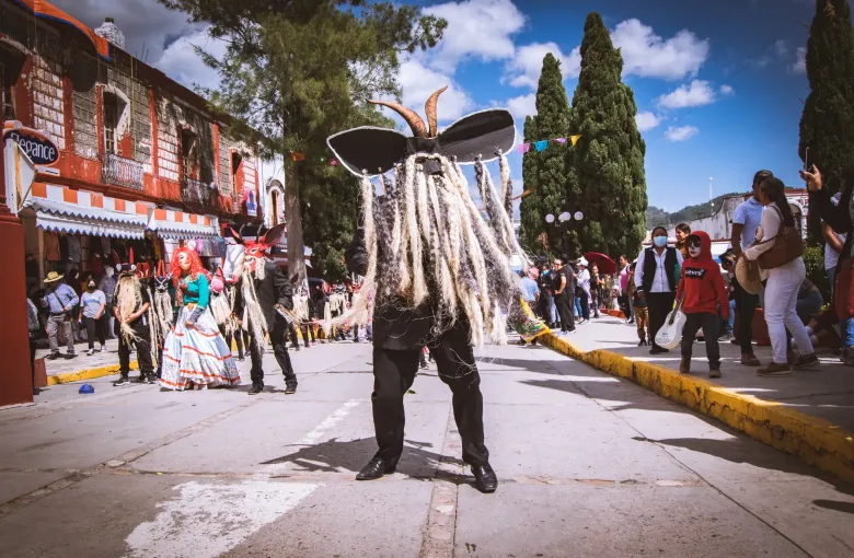 A masked Danza de los Diablos dancer in a horned mask and long horsehair beard performing in the street at Collantes on the Costa Chica.