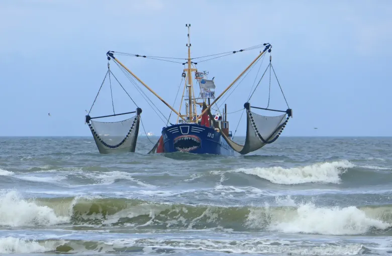 A fishing cutter with its beam trawls out, working in a short gray swell off the Frisian island of Ameland.