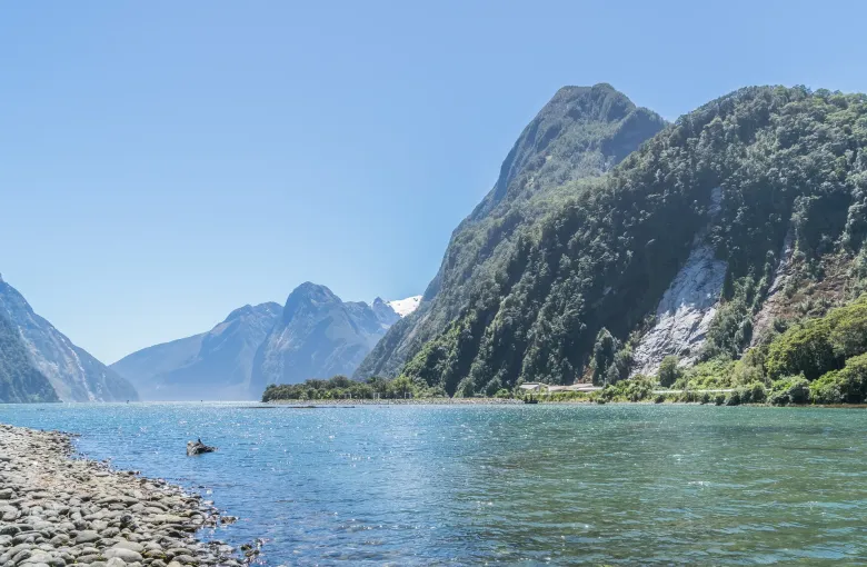 Mitre Peak rising above the still water of Milford Sound in Fiordland National Park on a clear day.