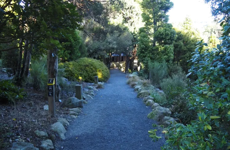 A wide, firm, even gravel path running into native forest at the entrance to Otari-Wilton's Bush.