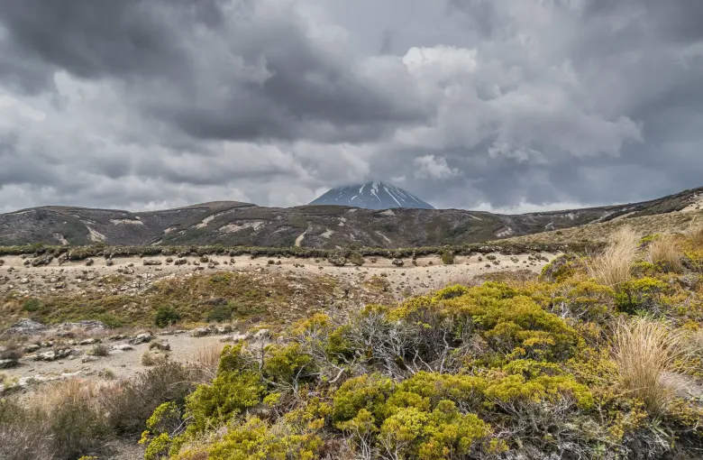 The cone of Mount Ngauruhoe under heavy cloud across the tussock of Tongariro National Park.