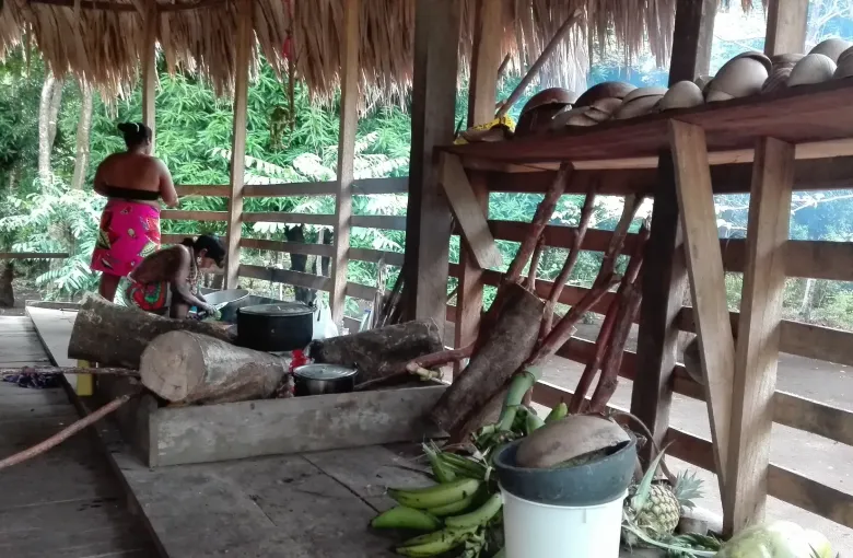 A thatched open shelter in a coastal village in Darien Province, with plantains and a dugout canoe.