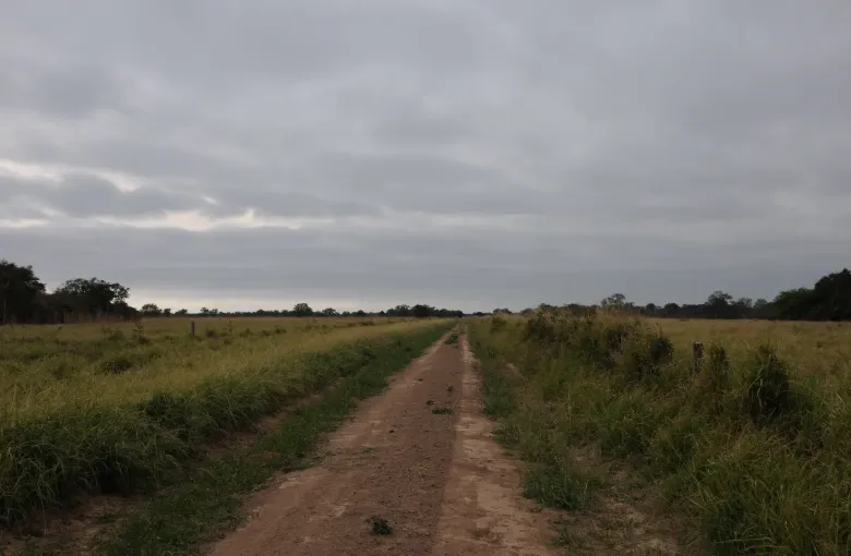 An unpaved red road runs straight between walls of thorn scrub in the Paraguayan Chaco near Filadelfia.