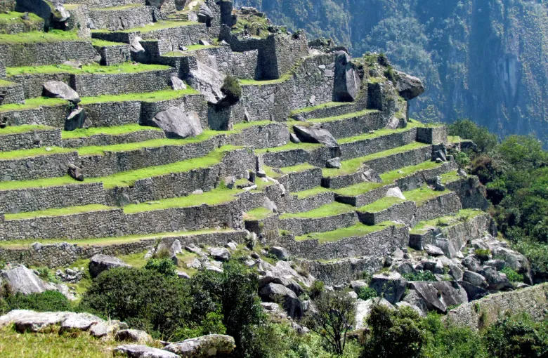 Stone agricultural terraces stepping down the slope at Machu Picchu with the forested gorge falling away behind them.