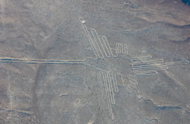 A large bird geoglyph drawn on the gray stone desert of the Nazca plain, one of the driest places in Peru.
