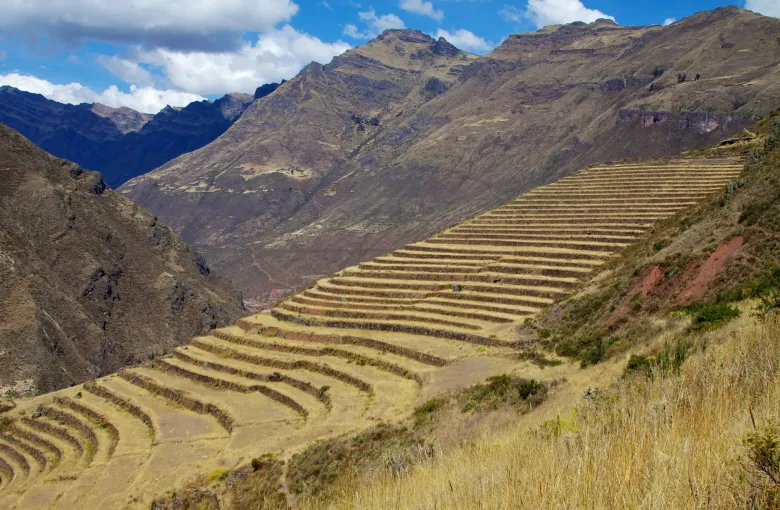 Curved Inca terraces cut into the mountainside above the Urubamba valley at Pisac, with snow peaks on the horizon.