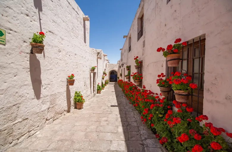 A wide level lane between white walls in the Santa Catalina Monastery in Arequipa, lined with pots of red geraniums.