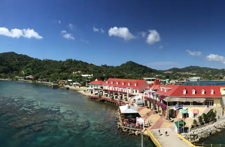 Red-roofed waterfront buildings on a promontory at Coxen Hole, seen from the air.
