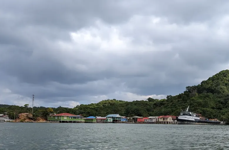 Fishing and working boats moored along the wooded shoreline of Oak Ridge harbor.