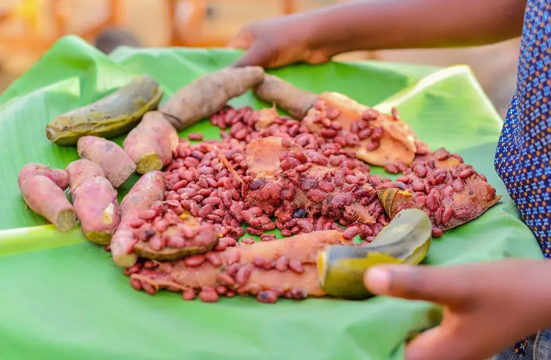Beans, sweet potato, cassava and plantain served together on a banana leaf and held in two hands, Rwanda.