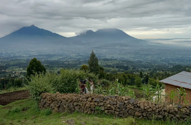 The Virunga volcanoes under cloud above cultivated fields, a lava-rock wall and a tin-roofed house on the edge of Volcanoes National Park, Rwanda.