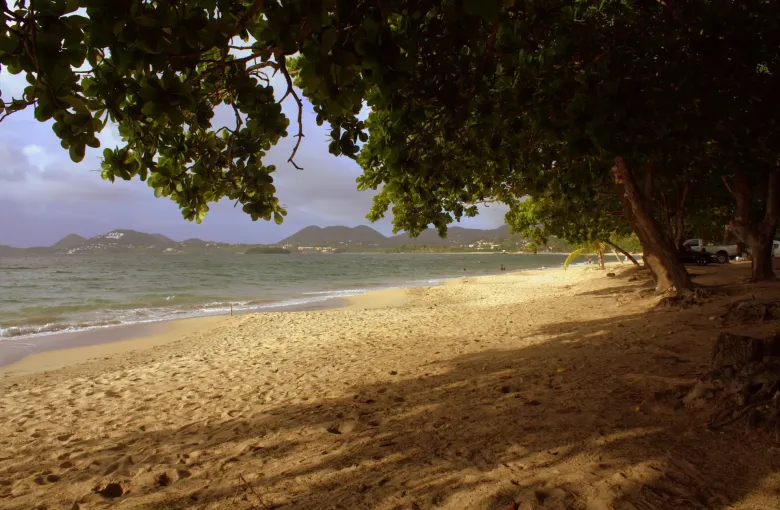 Shade from overhanging trees along the sand at Vigie Beach in Saint Lucia.