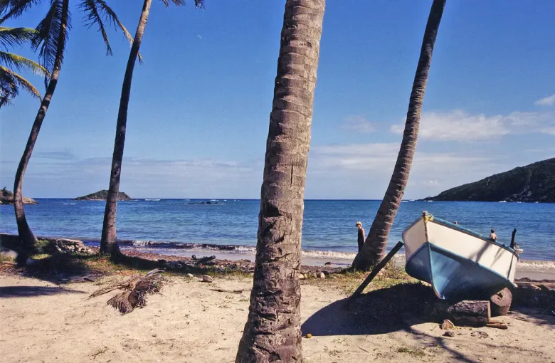 A small boat drawn up on the sand under coconut palms at Admiralty Bay on Bequia.