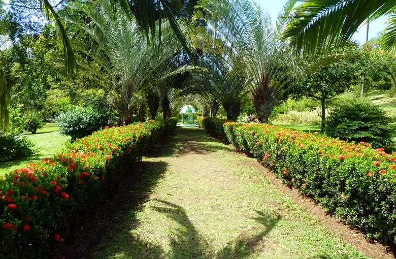 A level path through the Botanic Gardens at Kingstown, Saint Vincent.