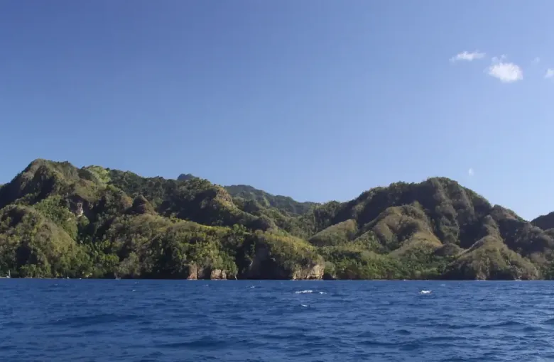 Steep forested ridges dropping to the sea on the west coast of Saint Vincent near Wallilabou.