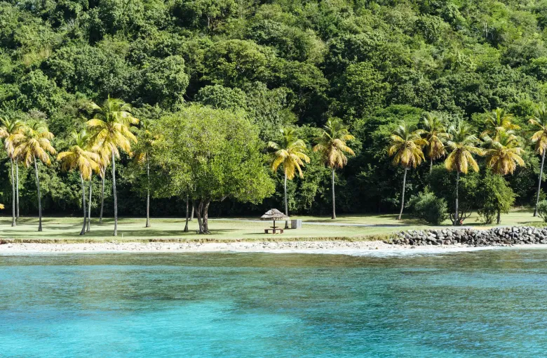 Palms and a thatched shelter above the shore on the western side of Mustique.