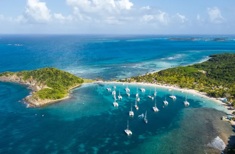 Palms along the curving sand of Salt Whistle Bay on Mayreau in the Grenadines.