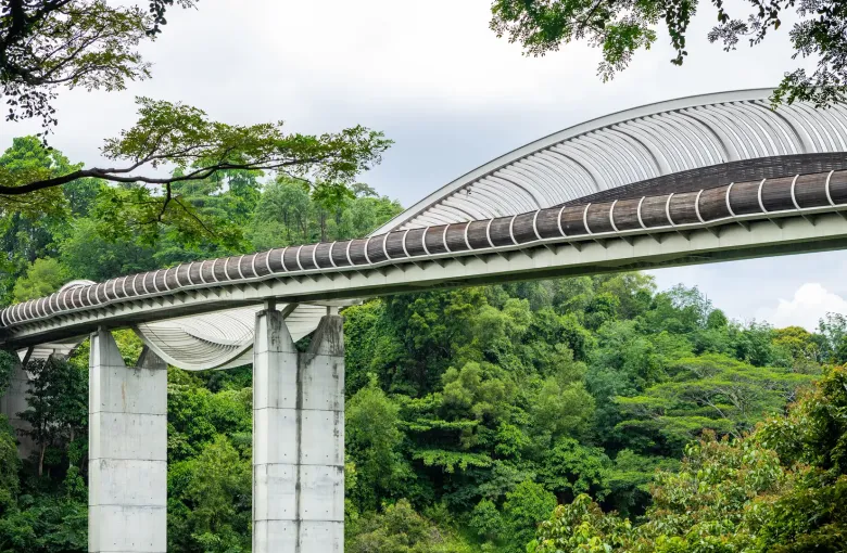 The curving timber deck of the Henderson Waves pedestrian bridge carried on tall piers above forest in Singapore.