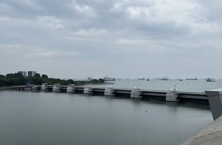 The low barrage across the mouth of the Marina Reservoir in Singapore under flat gray cloud, with ships on the horizon.