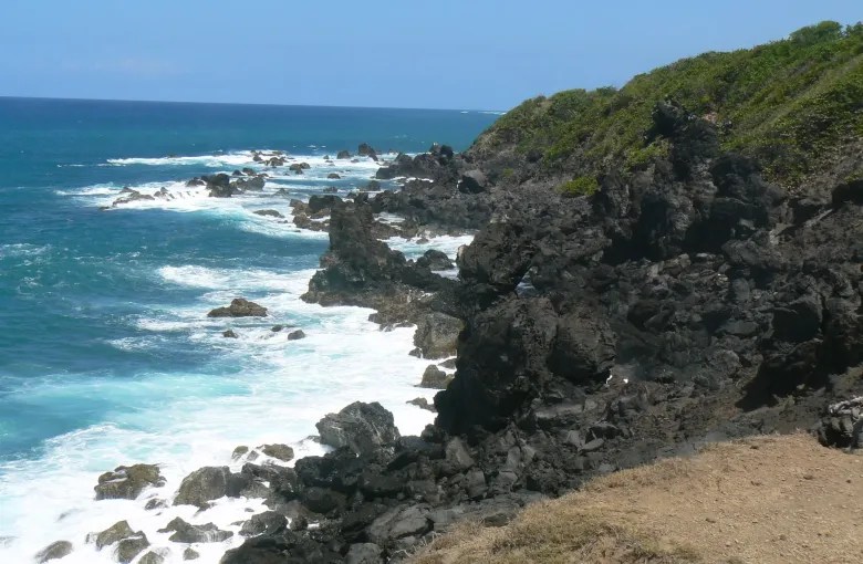 Black volcanic rock along the Atlantic coast of St Kitts with heavy white surf breaking against it below a green headland.