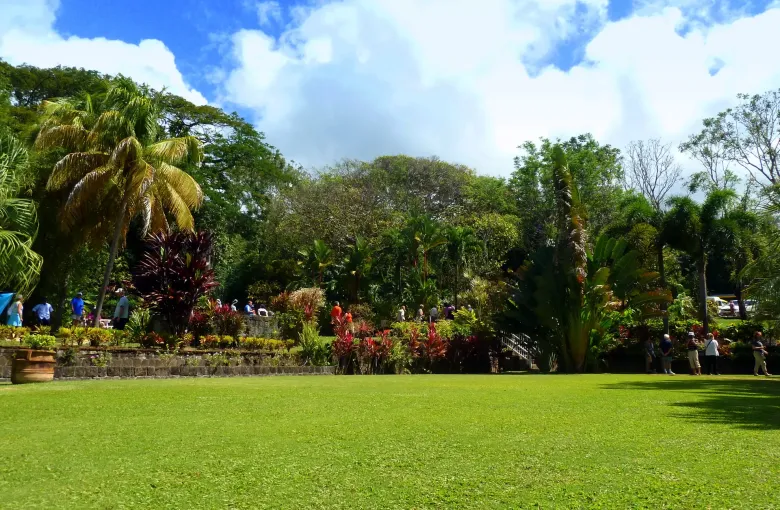 A wide mown lawn at Romney Manor on St Kitts edged by a low stone wall, tropical planting and palms under a bright sky.
