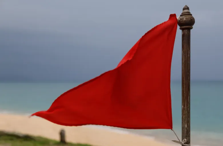 A red warning flag flying stiffly from a post above the sand, with the sea and a pale sky behind it.