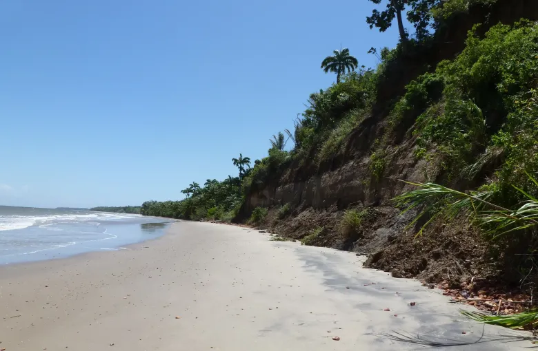 An empty stretch of Chatham Beach on Trinidad's south coast, a low wooded cliff along one side.