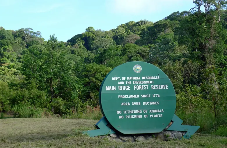 The Main Ridge Forest Reserve sign in Tobago, reading proclaimed since 1776 and area 3958 hectares.