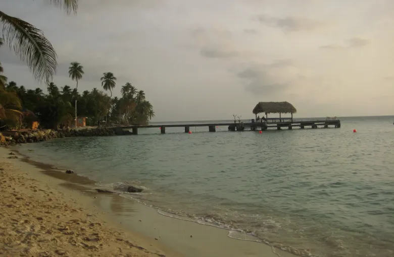 The thatched jetty reaching out over calm shallow water at Pigeon Point in Tobago, with palms along the shore.