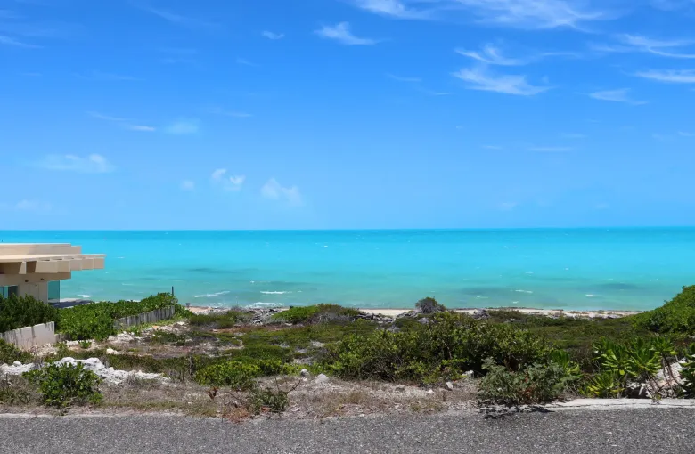 Level ground and low coastal scrub giving onto bright turquoise water running out to the horizon.