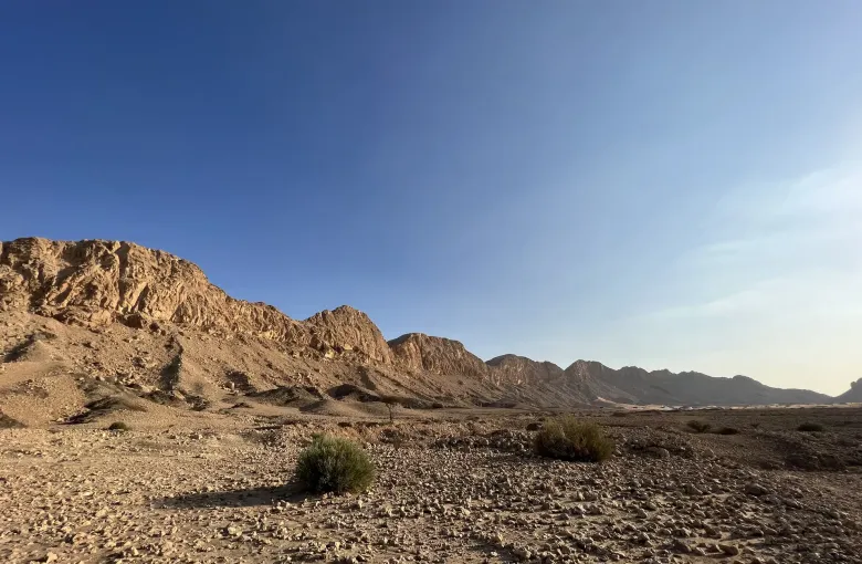 The rocky flank of Jebel Faya in low evening light, with scrub across the gravel plain