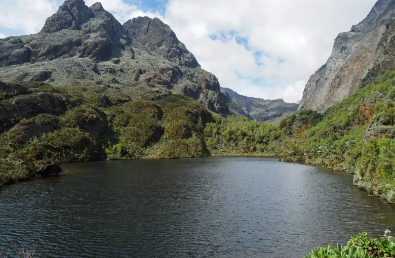 A dark glacial tarn beneath steep rock faces and giant heather in the Rwenzori Mountains, Uganda.