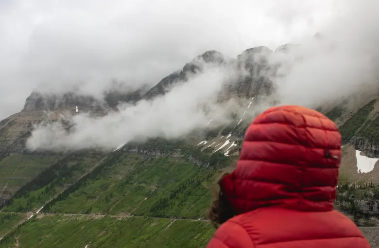 A person in a red hooded jacket looks out at mountain peaks wrapped in low cloud above green summer slopes.