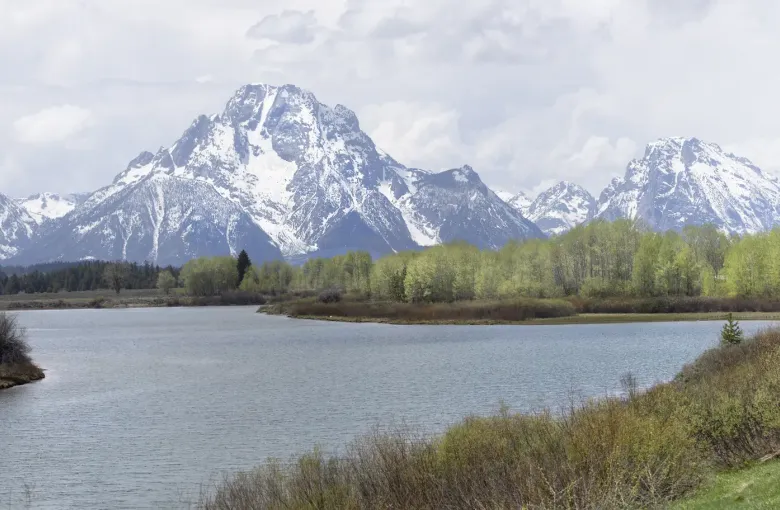 A still river bend in front of a line of snow covered peaks, with spring willows along both banks.