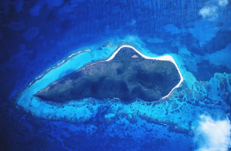 Buck Island and its reef from the air, the island reachable only by boat inside a ring of pale surf.