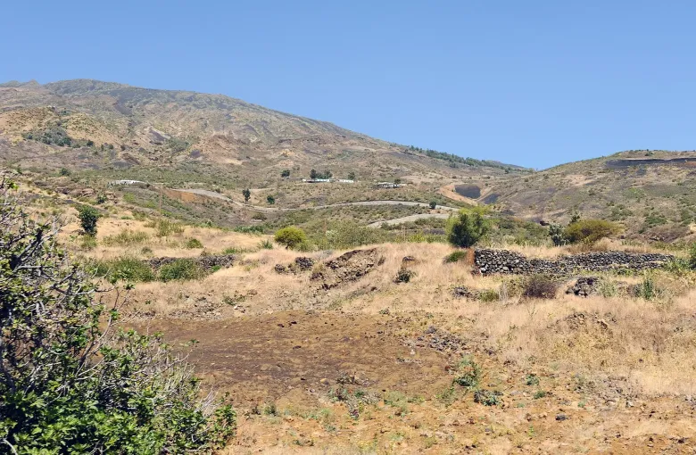 A dry volcanic hillside on Fogo with dry-stone walls and a road climbing towards the caldera.