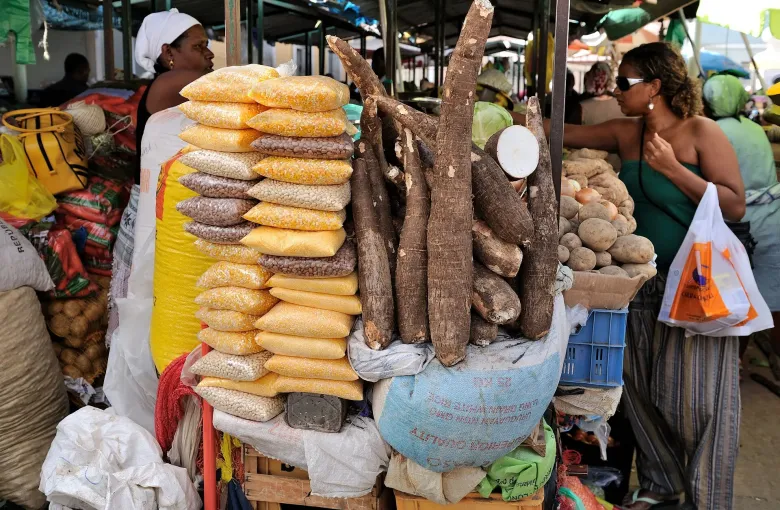 Bagged maize and beans stacked beside cassava roots and potatoes at the municipal market in Praia.